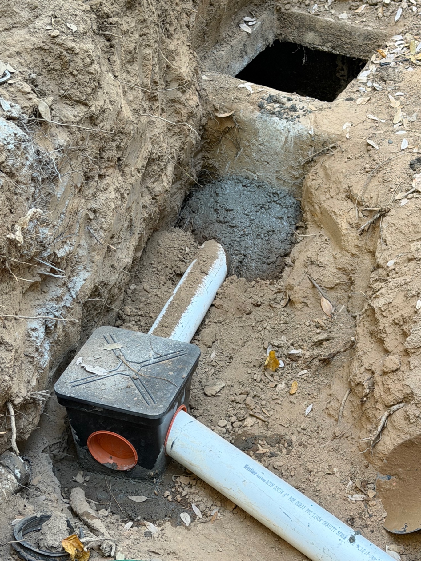 Septic Investigation